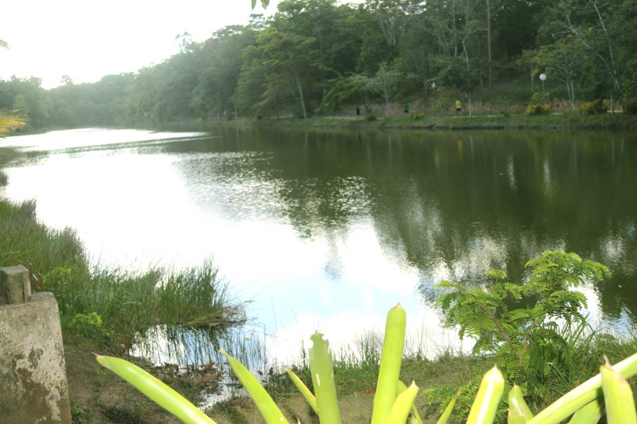 Eunápolis: Revitalização transformará Parque Ecológico do Gravatá em exuberante cartão-postal 3 parque gravata3