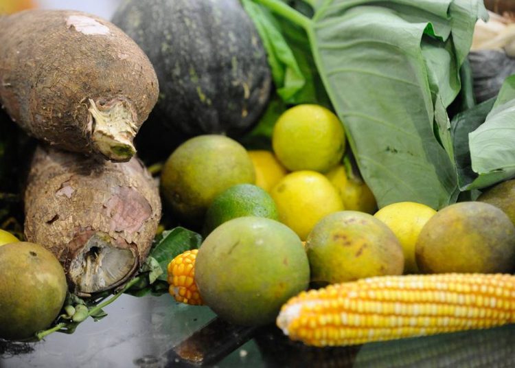 Conferência Green Rio 2015 discute estratégias para a economia verde e o setor de alimentos orgânicos no Jardim Botânico (Fernando Frazão/Agência Brasil)