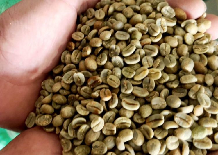 CAFÉ MANTIQUEIRA